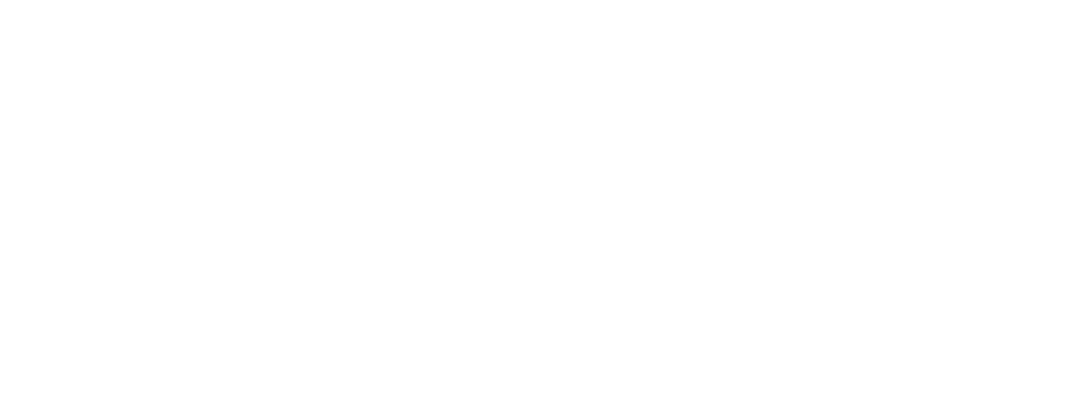 Agent Elite